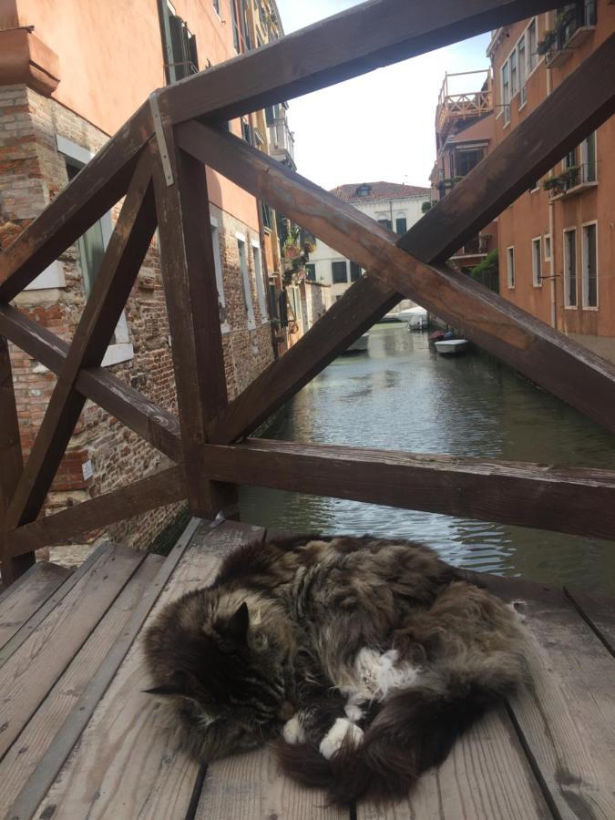 Tintoretto 4, 3 Grandi Camere Da Letto, 2 Bagni Venise Extérieur photo